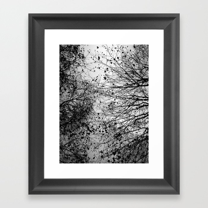 Branches & Leaves Framed Art Print
