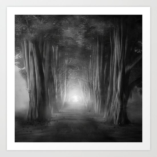 Black and White - Dreams come true Art Print