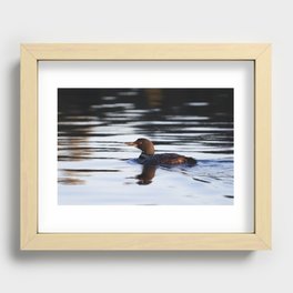 Loon I Recessed Framed Print