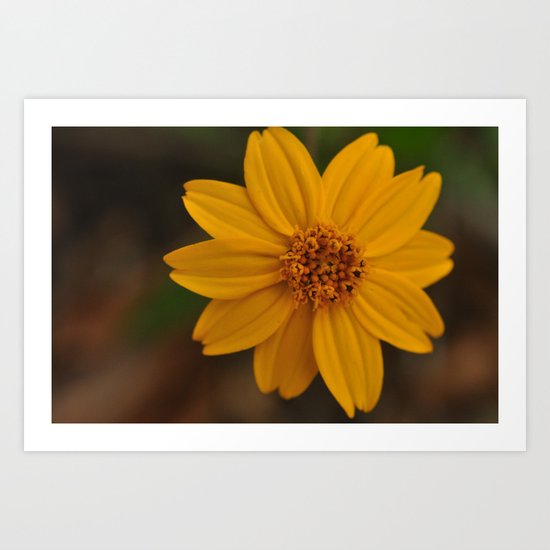 yellow Art Print