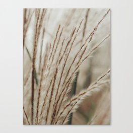 Neutral Botanical Abstract 2 x autumn plant photograph Canvas Print