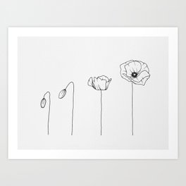 Poppy Flowering Phases Art Print