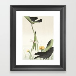 Dragonfly on Lotus Flower - Vintage Japanese woodblock print art Framed Art Print