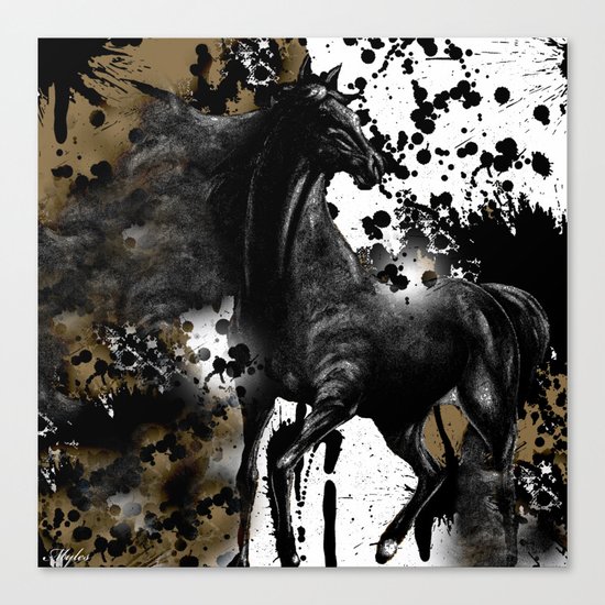 HORSE AND THUNDER Canvas Print