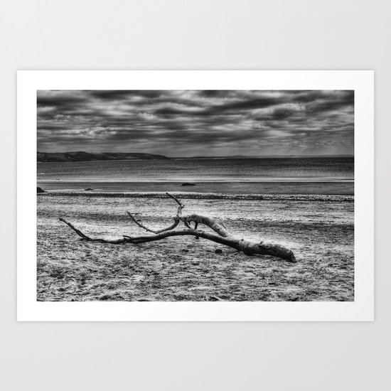 Driftwood 4 mono Art Print