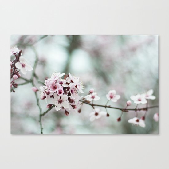 Florcitas Canvas Print