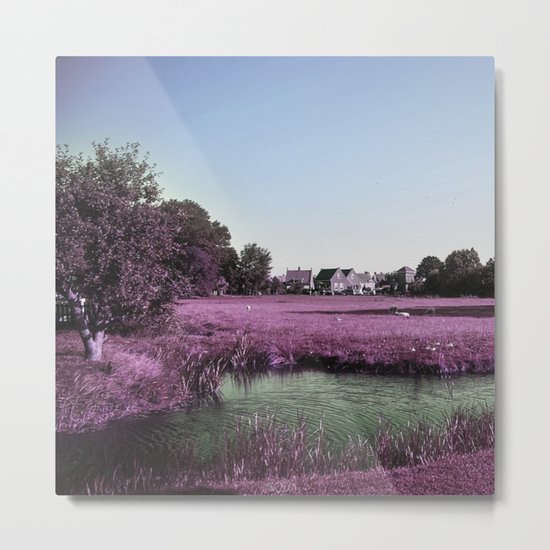 purple flower Metal Print