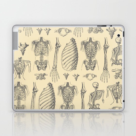 Anatomy Tan Laptop & iPad Skin