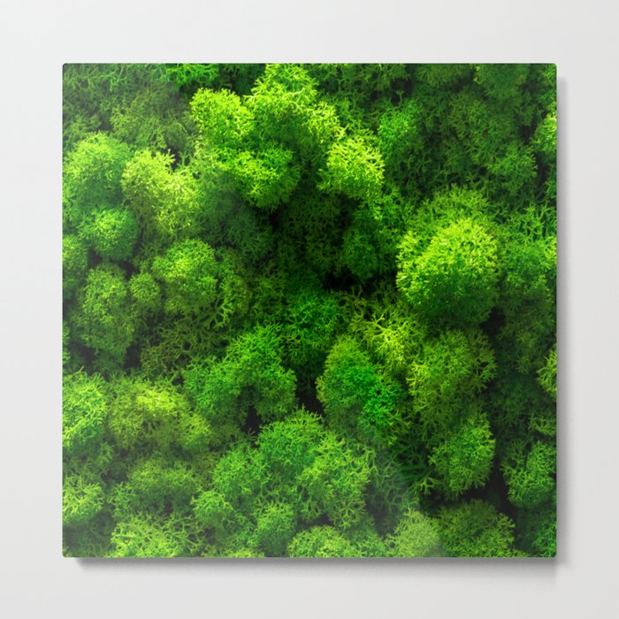 Green Moss - Interior Design Metal Print