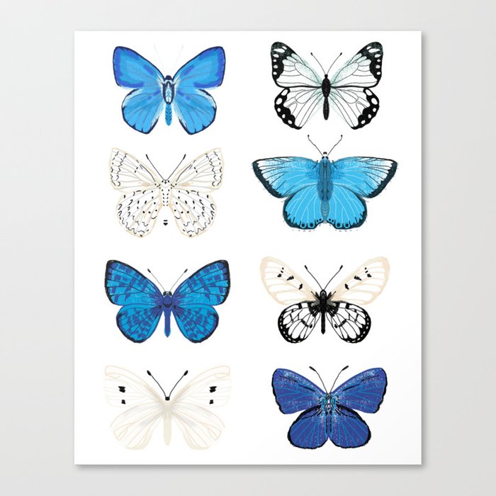 Butterflies blue and white, butterfly art, blue and white art