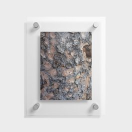 Wood Log Bark Texture from Wyoming Floating Acrylic Print