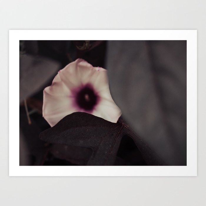 Moody Purple Art Print