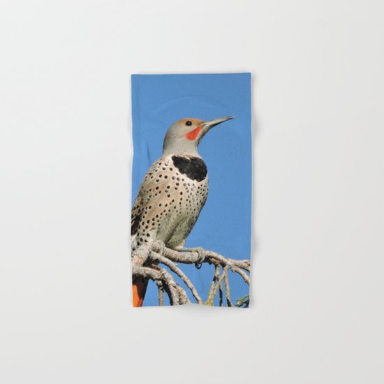 Northern Flicker Hand & Bath Towel