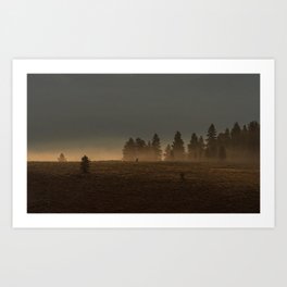 Misty Mountain Morning  // Golden Fog on the Pine Art Print | Misty Mountain, Colorado Park, Photo, Mood Sunrise Fog, Nature Photography, Landscape Photo, Rocky Rockies, Mornings Mountains, Yosemite Glacier, Adventure Photo 