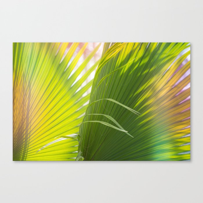 Summer, Forever Canvas Print
