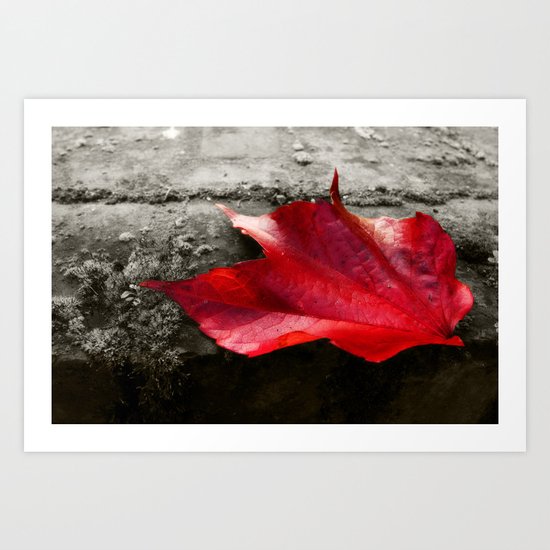 fall leaf Art Print