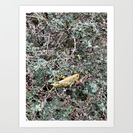 Yellow Cricket Art Print | Lucksymbol, Yellow, Amulet, Symbol, Insect, Lucky, Plants, Luck, Love, Green 