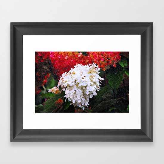 Christmas Colours Framed Art Print