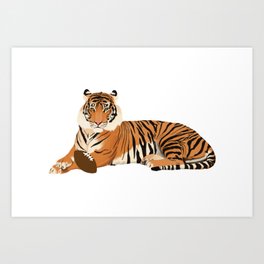 Football Tiger Art Print
