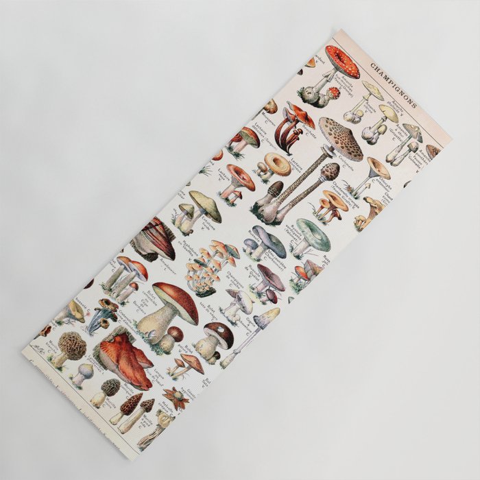 Adolphe Millot - Champignons pour tous - vintage poster Yoga Mat