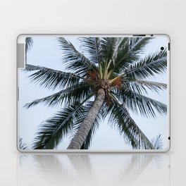 Mexico Photography - A Dry Palm Tree Seen From Below Laptop Skin