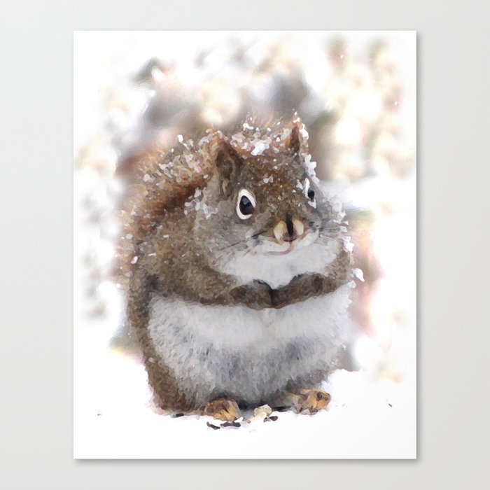 Sweet Squirrel Canvas Print