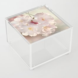 Cherry Blossoms  0210 Acrylic Box