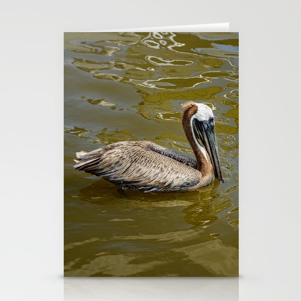 Brown Pelican 0581 - Cedar Key, Florida Stationery Cards