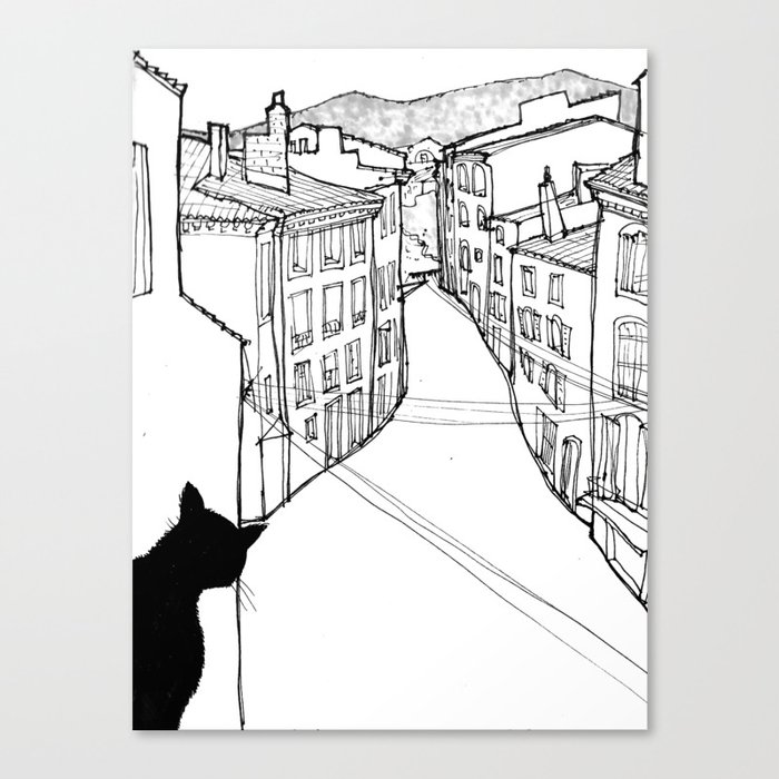 provence's cat Canvas Print