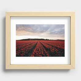 Red Tulips, the Netherlands Recessed Framed Print