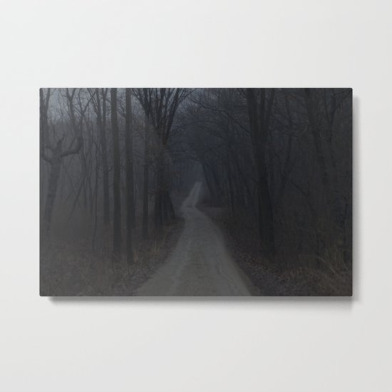 Into the Mist Metal Print