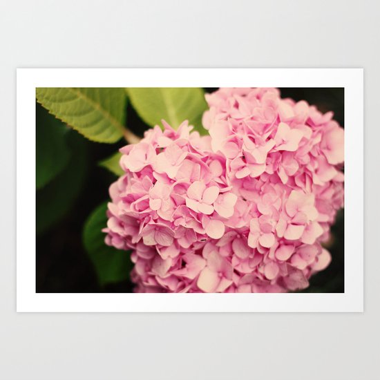 Fragrant Art Print