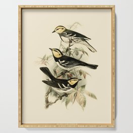 Vintage Birds Golden-cheeked Warbler Illustration  Serving Tray