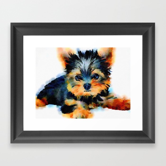 Yorki Pup Framed Art Print