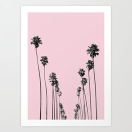 Palm trees 13 Art Print