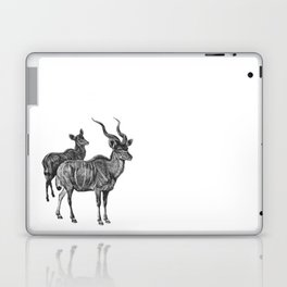 two kudu Laptop & iPad Skin