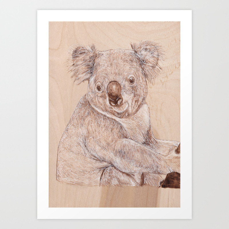 Pyrography Koala Bear Wood Burning Drawing Animal Portrait Art Work Wildlife 