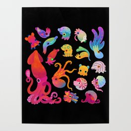 Cephalopod Poster