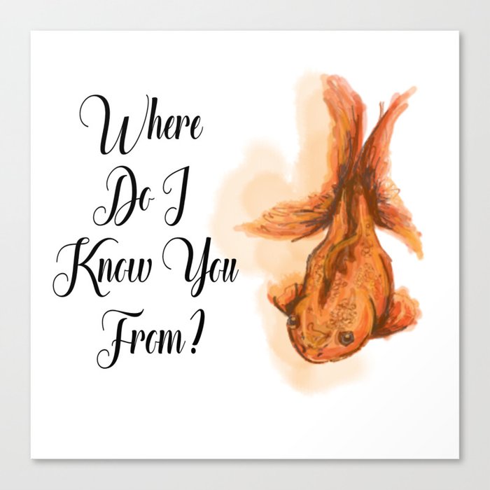 Where do I know you from? Canvas Print