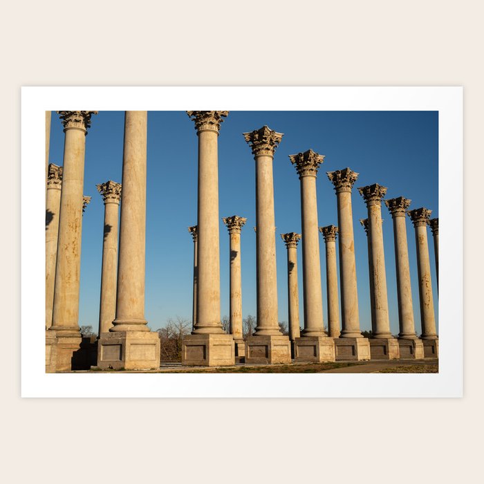 national arboretum pillars Art Print by andrew zimmerman Society6