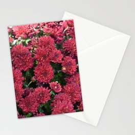 Ruby Red Mums Stationery Cards