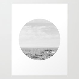 Black and White Whale Tail Circle Photograph No. 1 Art Print