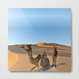 Dromedary Camel  Mother and Calf Arabian Desert Dunes Metal Print