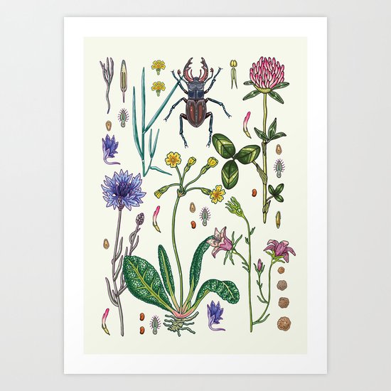 Midsummer Art Print