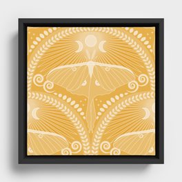Golden Luna Moth Framed Canvas