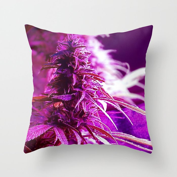 Cannabis Buds Under Pink LED Throw Pillow