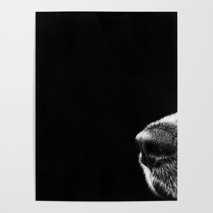 Sneaky Dog Poster