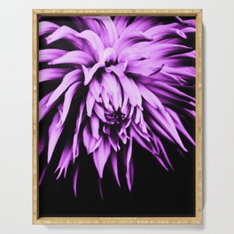 Purple And Black Cactus Dahlia Serving Tray