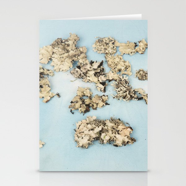 Blue Lagoon Stationery Cards