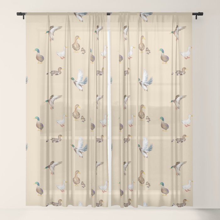 Sheer Curtain